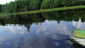 Шатурские карьеры