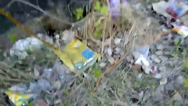 Выживание Старозагородная роща сбор пластика Очистим Землю вместе! смотреть онлайн