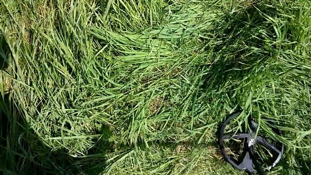 Поиск с металлоискателем по траве смотреть онлайн