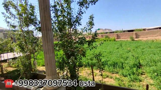 RIM USTUNLARI - ZAMONAVIY DIZAYN ASOSIDA BETON USTUNLARI QUYISH XIZMATI VA NARXLARI +998337097534