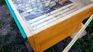 Размеры улья лежака