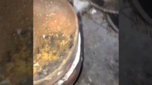 Обжег меди,как чистить медь.