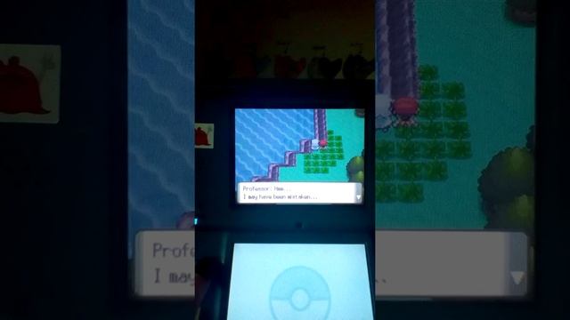 Pokemon Perl episode 1 смотреть онлайн