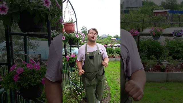 ЭТИ УДОБРЕНИЯ НАХОДКА ДЛЯ МЕНЯ. Натуральные удобрения на основе гуминовых и фульвовых кислот. смотреть онлайн