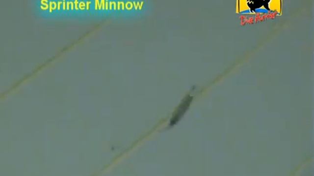 YT_Sprinter Minnow.avi смотреть онлайн