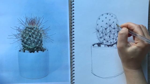 Daily Drawing for Wellbeing - Day 1- Scribbly Cactus смотреть онлайн