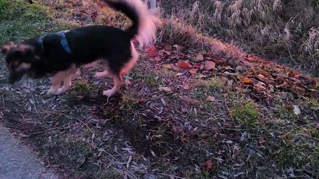 Друг. Хороший друг I Ein Freund. Ein guter Freund смотреть онлайн