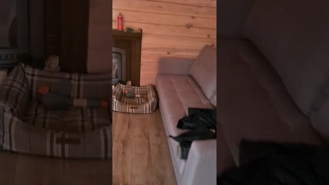 Полный комплекс работ. Разводка воды по домуустановка сантехники.