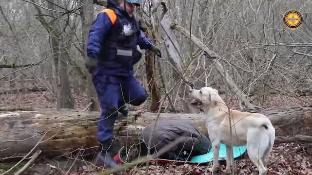 Тренировка кинологической службы смотреть онлайн