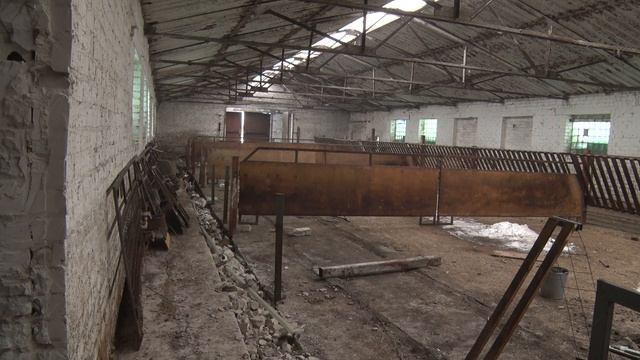 Углич 2021: Тоггенбургские козы приедут в «Авангард» смотреть онлайн