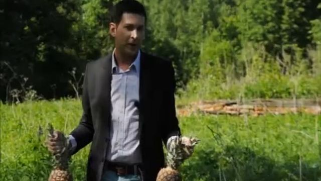 Усадьбы и судьбы. Новоспасское смотреть онлайн