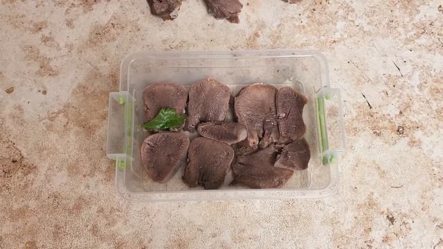 ЗАЛИВНОЕ ИЗ ЯЗЫКА | РЕЦЕПТ | КОРОТКИЕ ПРИКОЛЫ смотреть онлайн