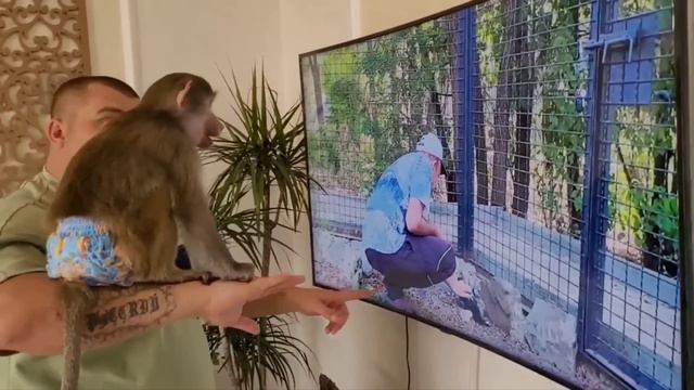 ❗️❗️❗️Люська и её друзья очаровали Никушу! А Боня чуть позже очарует 🙈 смотреть онлайн