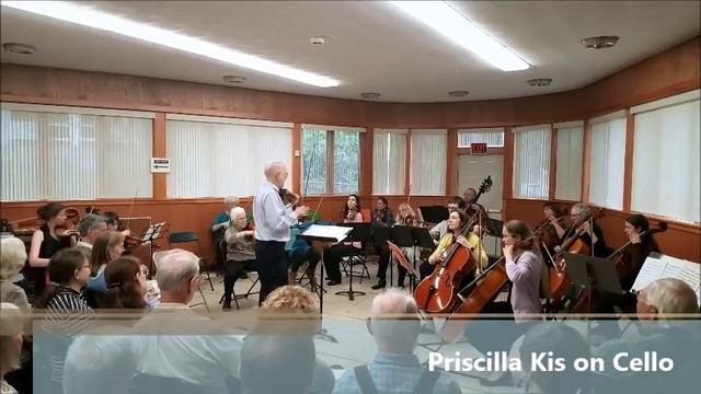 Yellow Bird by Monton Cello Violin Viola String Orchestra смотреть онлайн
