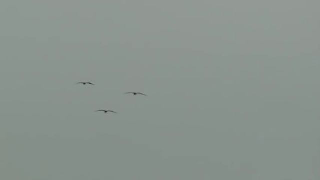 JOJOSQATSI - 11 Philip Glass - Slo Mo People смотреть онлайн