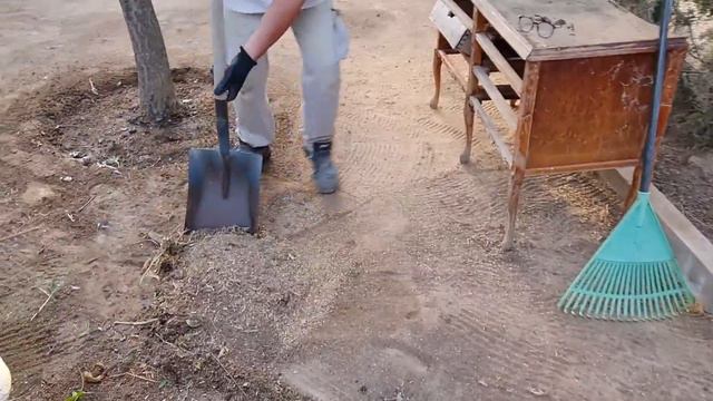 Боится,он мне не доверяет,где его хвост?Моя кошка пропала😪Такой срачь,То там то здесь,можно сутками смотреть онлайн