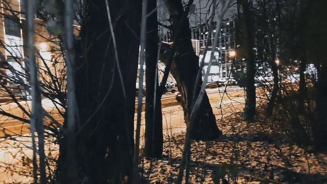 VID 20221123 191534 Царь- ложь 1907 (К. Бальмонт)...Павел Васильев Лахтинский смотреть онлайн