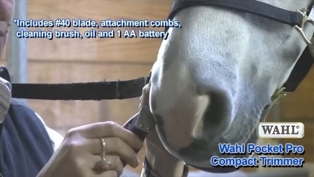 Wahl Pocket Pro Compact Trimmer from Schneiders смотреть онлайн