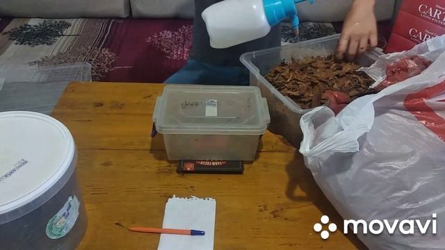 Сколько табака в гильзах Картель. 1 часть. Увлажняем. смотреть онлайн