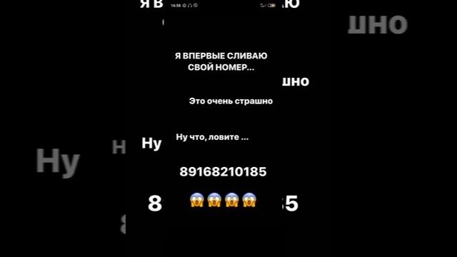 Все номера ДРИМ ТИМ ХАУСА и телеграмы смотреть онлайн