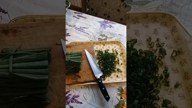 КАК СОХРАНИТЬ ЗЕЛЕНЫЙ ЛУК НА ЗИМУ/ЛЕГЧЕ НЕ БЫВАЕТ!!! смотреть онлайн