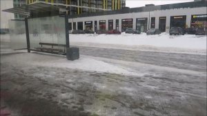 Автобус 300 «Кировский завод - ж/д ст. «Сергиево»