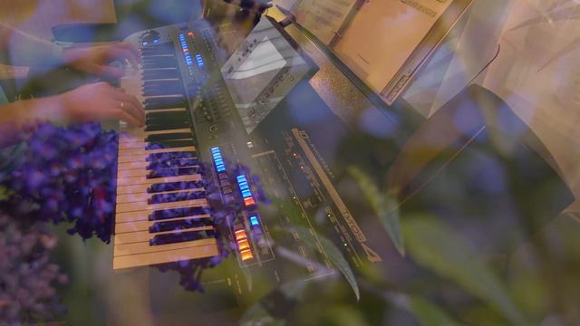 'The Beautiful Rose' - played on the Yamaha Tyros 4 смотреть онлайн
