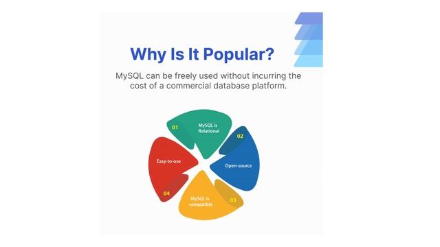 MySQL Database Management: Tips and Tricks for Efficiency смотреть онлайн