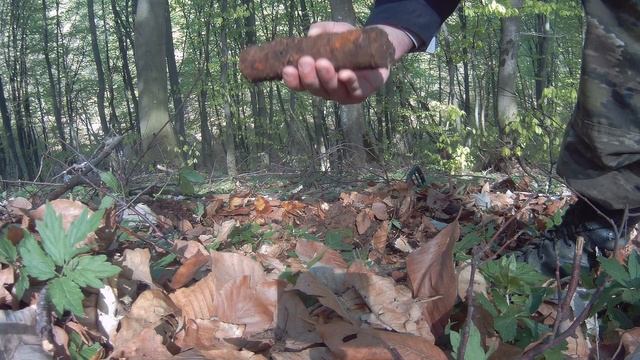 ? Пробежка с металлоискателем Minelab Go Find 20 смотреть онлайн
