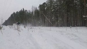 Очередной выезд в лес на снегоходах! Отзывы владельцев отечественных снегоходов Тайга,  Буран, Стел