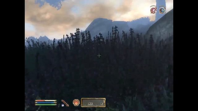 Skingrad Oblivion Gate Closed