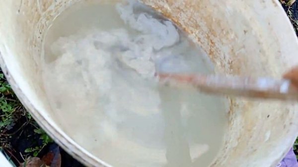 Осенняя побелка фруктовых деревьев - несколько слов для начинающих