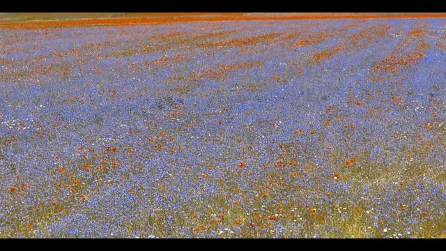 Castelluccio di Norcia 2018 (Italy) UHD смотреть онлайн