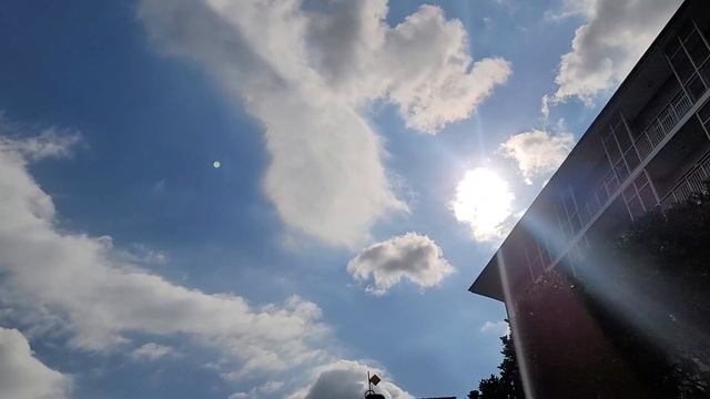 Reygan's Rides Flexes His Car to Me - [SoJooCars] смотреть онлайн