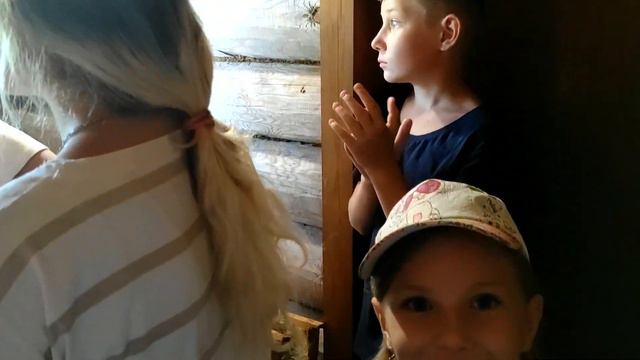 Необычное приключение детей на пасеке в глубинке Самарской области. Вот оказывается как "гонят" мед смотреть онлайн