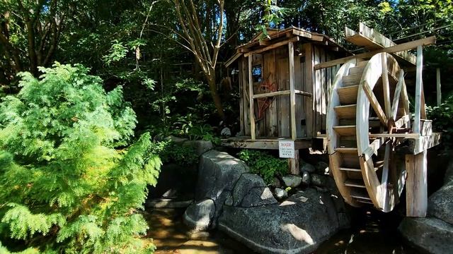 VANCOUVER, CANADA ONE DAY Travel Guide | BEST THINGS to Do, Eat & See | British Columbia смотреть онлайн