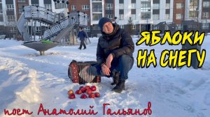 ЯБЛОКИ НА СНЕГУ / под гармонь