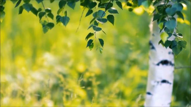 ДОГОРАЕТ ЗОЛОТАЯ ОСЕНЬ- 2020г . -поёт Апполинарьев А.А. ...из репертуара Папы Раджа. смотреть онлайн