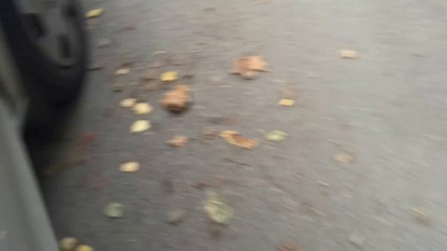 Свист кондиционера Skoda Rapid