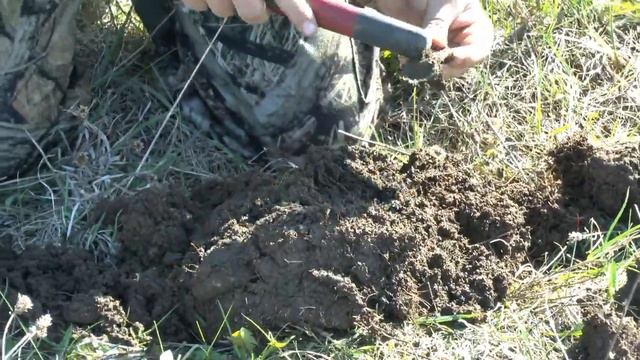 Поиск монет. ШутоШная по Викингам