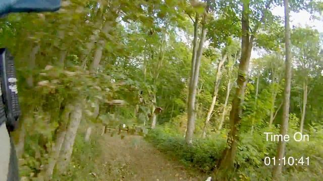 Holly rides Finn at The Cotswold Hunt Hunter Trials 4th October 2015 смотреть онлайн