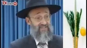 Рав Ашер Кушнир. СУККОТ ГЛАЗАМИ АБРАШИ.