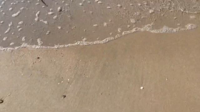 Прогулка к морю 8 мая 2023 год и местная помойка смотреть онлайн