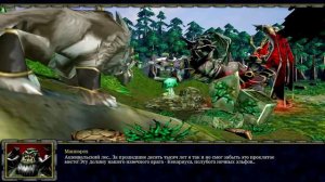 Warcraft 3 Reign of Chaos (RoC) прохождение. Кровь Маннороха [#30]