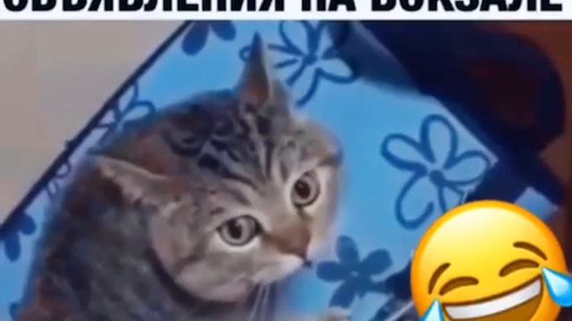 вот он какой диспетчер, который объявляет поезда на вокзале!!! смотреть онлайн