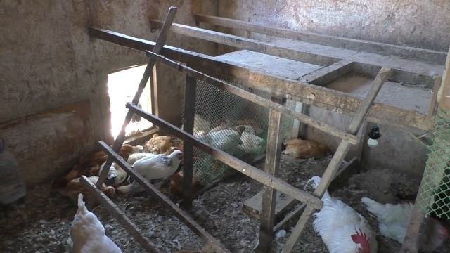 Строительный Тренд