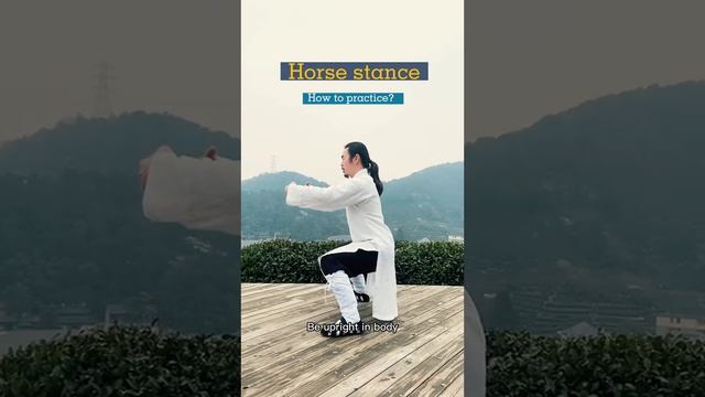 The body is a system, recommended full body practice, more healthy #wudang #wudangkungfu #health #c смотреть онлайн