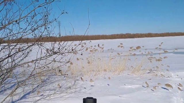 31 марта 2023 г. смотреть онлайн