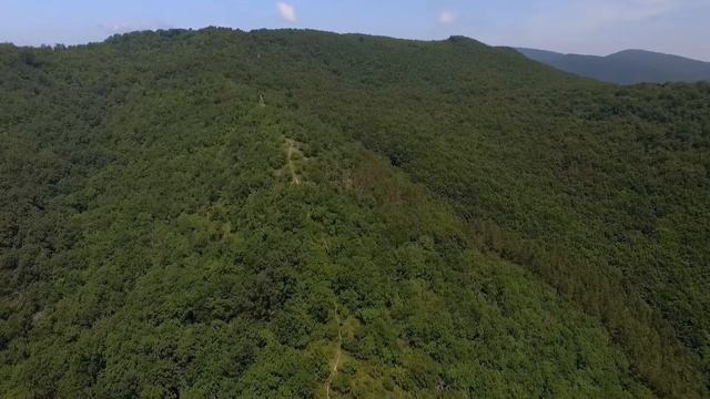 The forests of Papuk and Krndija mountains смотреть онлайн