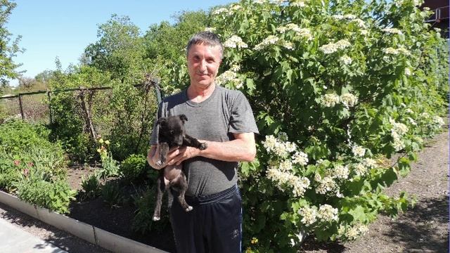 С Днём рождения!.wmv